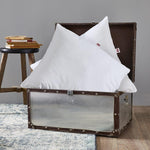 Load image into Gallery viewer, DODO Set of 2 Natural Pillows 60 x 60 cm | Firm Comfort
